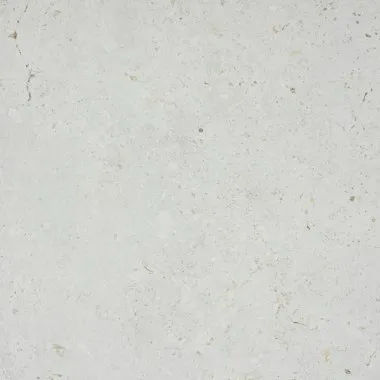 Muestra Polar