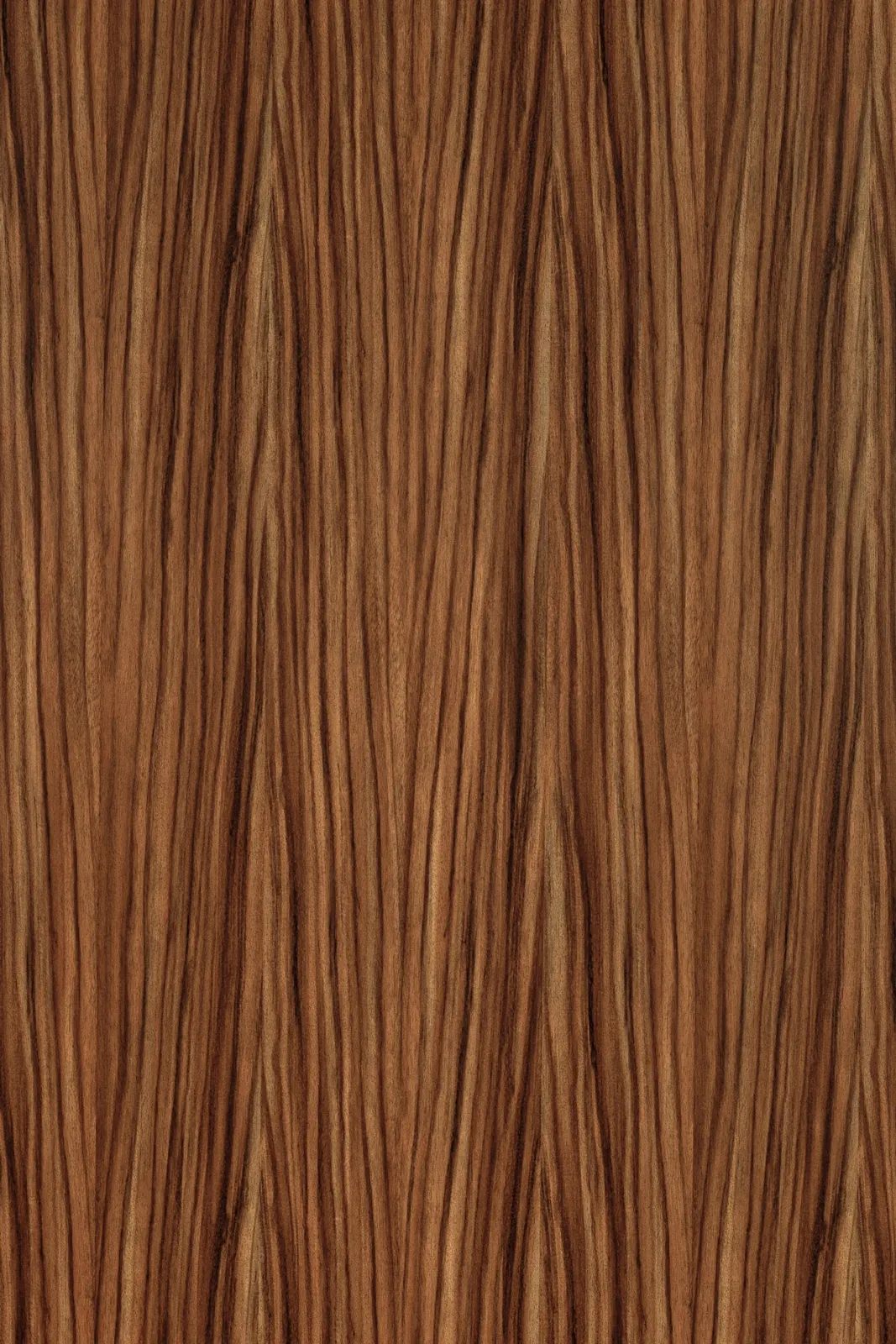 Huanacaxtle