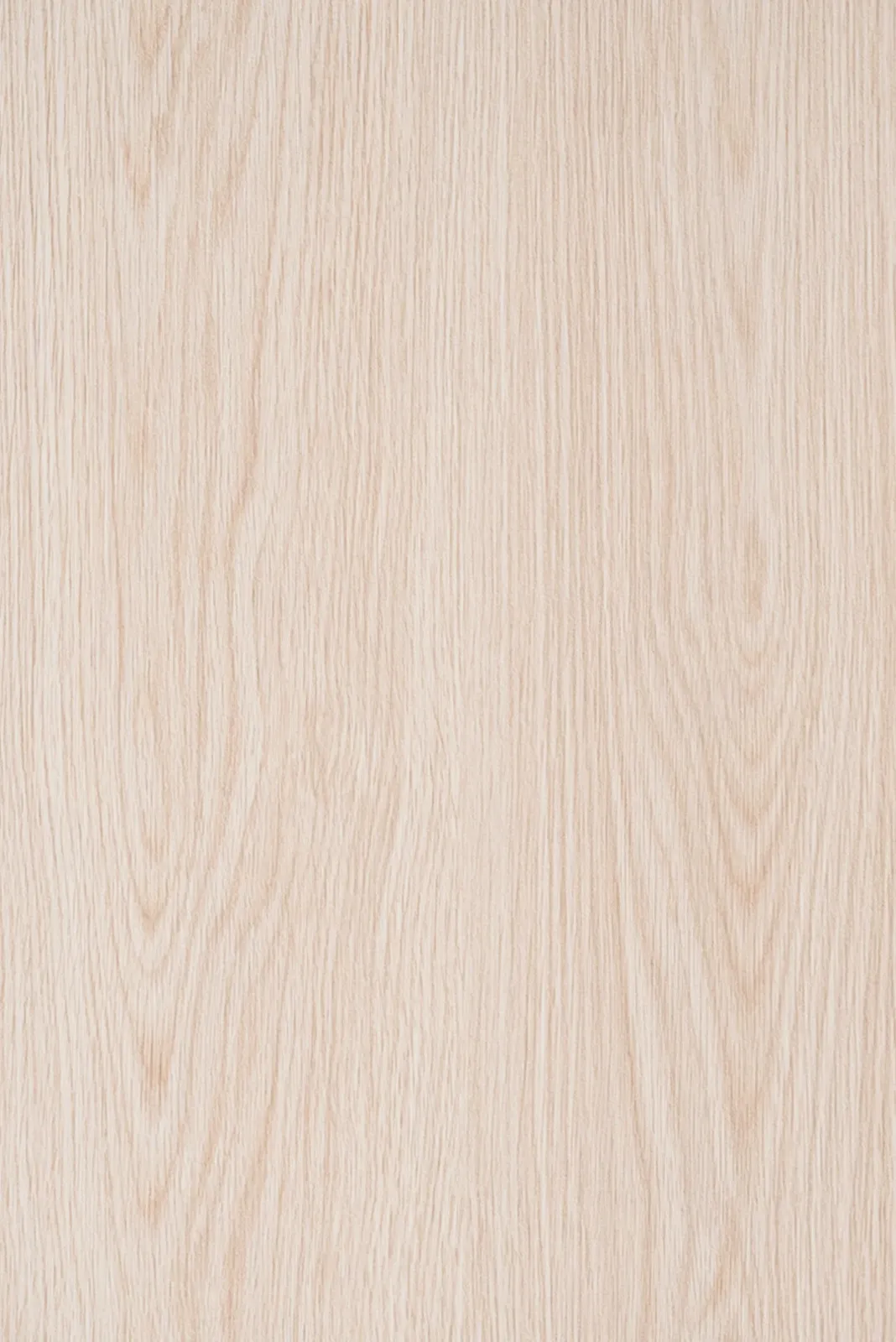 Roble Blanco