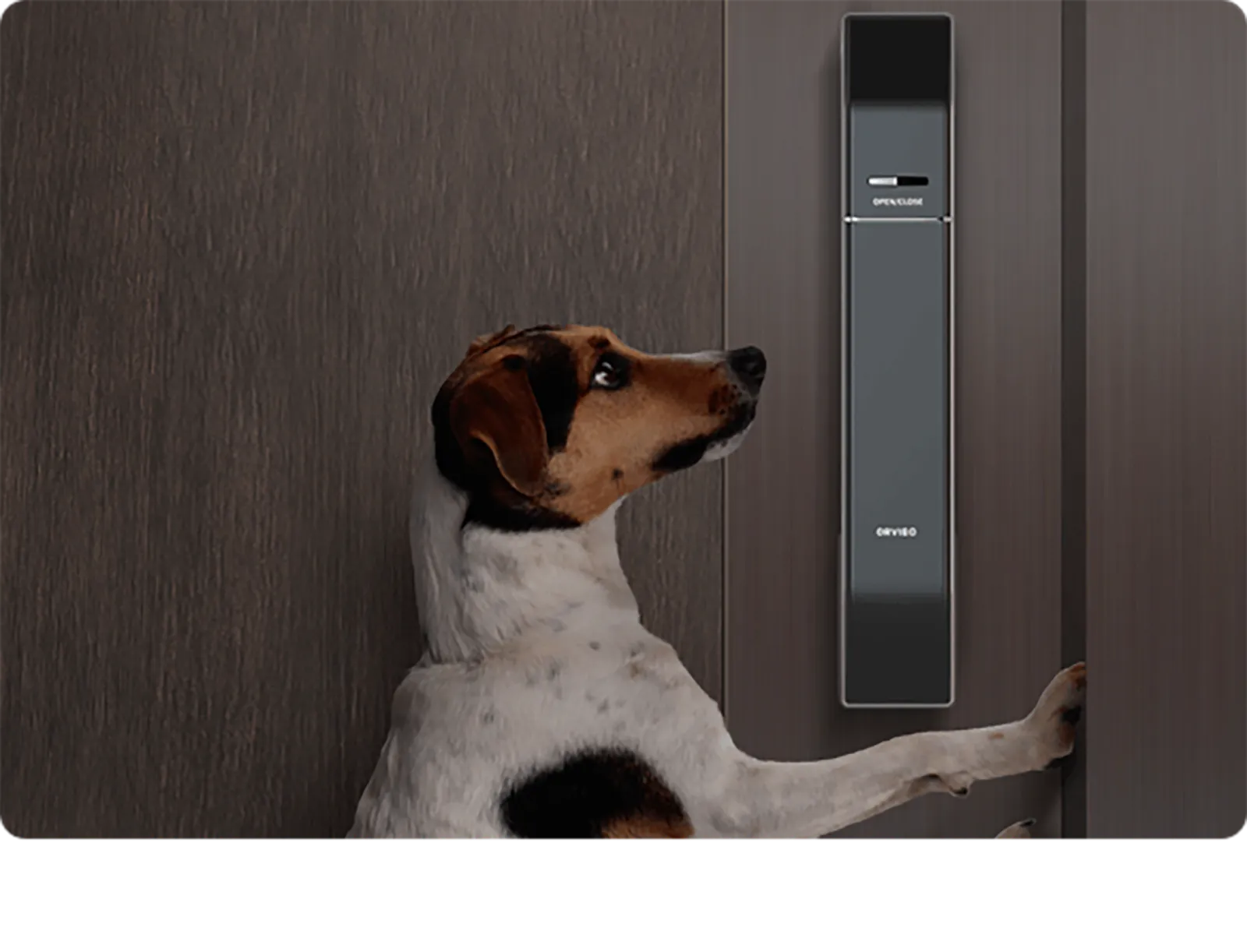 Smart Door Lock P20 · imagen o esquema 32 del proveedor